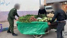 بائع متجول يهدد السلطة اثناء تحرير الملك العام بالسلاح الأبيض وهرب ليهم بالطوموبيل ديال الجماعة