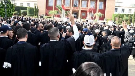 المحكمة الدستورية رفضات البت فقانون المحاماة الجديد بسبب خطأ فوثائق الإحالة