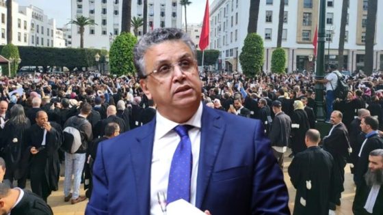خسر المحامون و انتصر وهبي : صدور القانون الجديد المنظم لمهنة المحاماة في الجريدة الرسمية